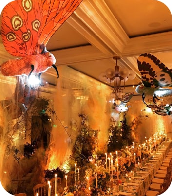 EVENT LIGHTING SERVICES